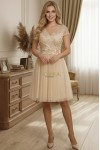 Rochie de ocazie Harmony din tull cu broderie crem si fusta incretita