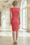 Rochie cocktail Julianne din dantela dublata, cu decolteu in V si maneci scurte